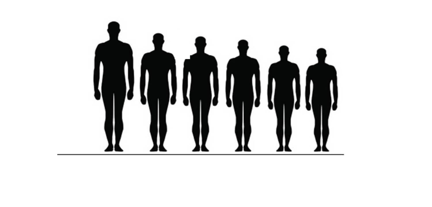 Height 5 8. Рост человека. Средний рост человека. Схема роста человека. Люди по росту.